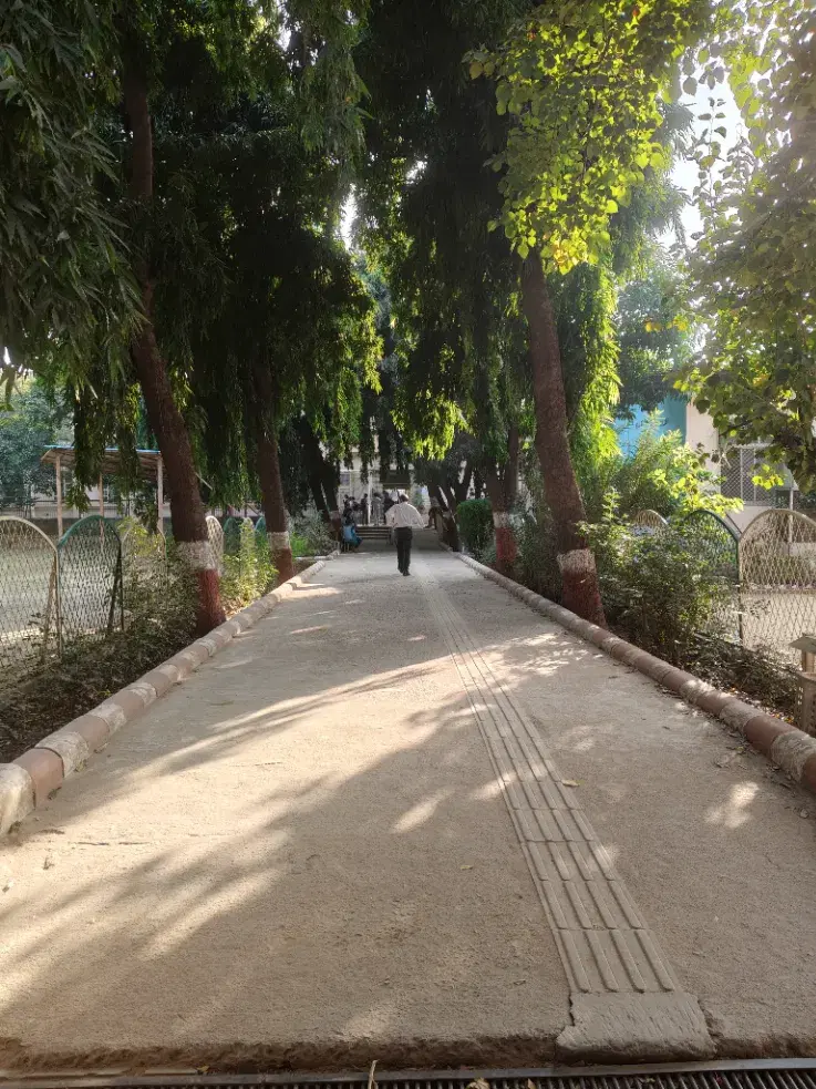 Deshbandhu College Campus photo 3